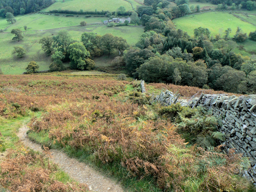 Sale Fell Sale Fell